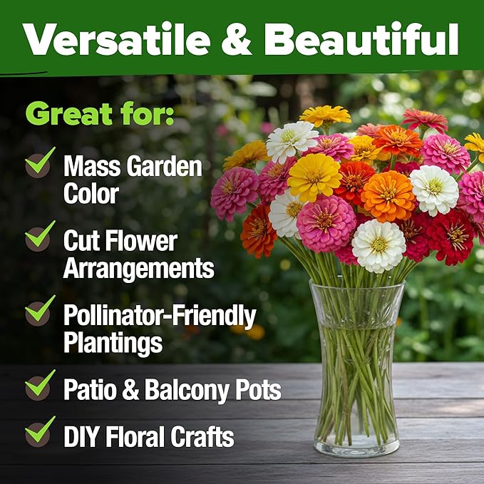 HOME GROWN Dwarf Zinnia Seeds Mix - 300 Pumila Zinnia Seeds for 2026 (0.6g) | Zinnia Flower Seeds for Planting Outdoors | Colorful Cut Annual Flowers for Summer Gardens & Containers (Zinnia elegans)