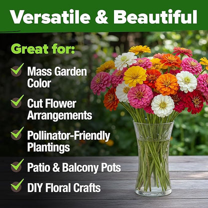 HOME GROWN Dwarf Zinnia Seeds Mix - 300 Pumila Zinnia Seeds for 2026 (0.6g) | Zinnia Flower Seeds for Planting Outdoors | Colorful Cut Annual Flowers for Summer Gardens & Containers (Zinnia elegans)