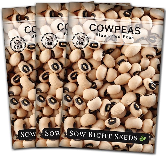 Sow Right Seeds - Black Eyed Cowpea Seeds for Planting - Non-GMO Heirloom Packet with Instructions to Plant a Home Vegetable Garden - Old Fashioned Bush Bean Variety - Extra Lucky (3)