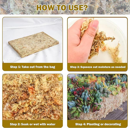 Hourleey 1.1 lb Sphagnum Moss for Plants, Premium Natural Long Fibered Dried Moss Potting, Sphagnum Peat Moss Bulk for Orchids Succulent Carnivorous Potted Plant Reptiles Medium Sarracenia