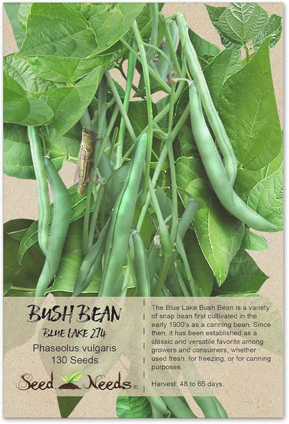 Seed Needs Blue Lake 274 Bean Seeds Bush Variety | 130+ Heirloom Seeds Phaseolus Vulgaris Large Easy to Grow | Fresh Vegetable Seed for Planting Home Garden Favorite | Bulk