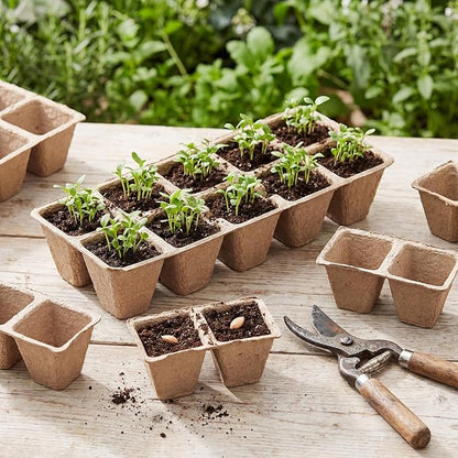 200 Cells Seed Starter Tray, 20 Pcs Biodegradable Plant Starter Peat Pots(Including T-Type Labels & Starter Tools)– Eco-Friendly Gardening Supplies, No Transplant Needed