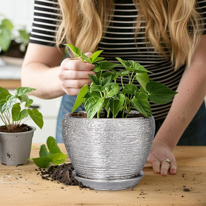 Ceramic Planter - 6 Inch Plant Pot Indoor with Drainage Hole and Saucer Outdoor Pot for Plants Round Decorative Planter Modern Mid-Century Flower Pot for Office Decor Silver