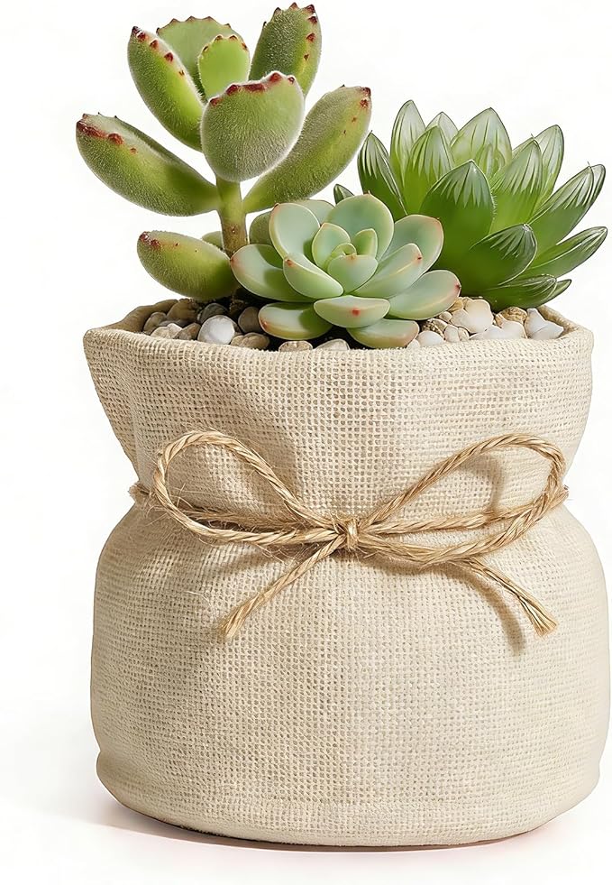 Succulent Pots Flower Pots for Indoor Plants Cute Plant Pots Candy Bowl for Office Key Holder Bowl Farmhouse Table Decor (Gold)