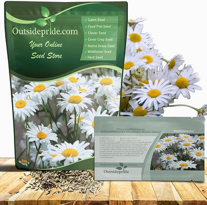 Outsidepride Shasta Daisy Chrysanthemum Seeds - 5 Lbs. Perennial Deer Proof, Drought Tolerant, Wildflower Seeds for Pollinator Gardens, Cut Flowers & Water-Efficient, Low Maintenance Landscaping