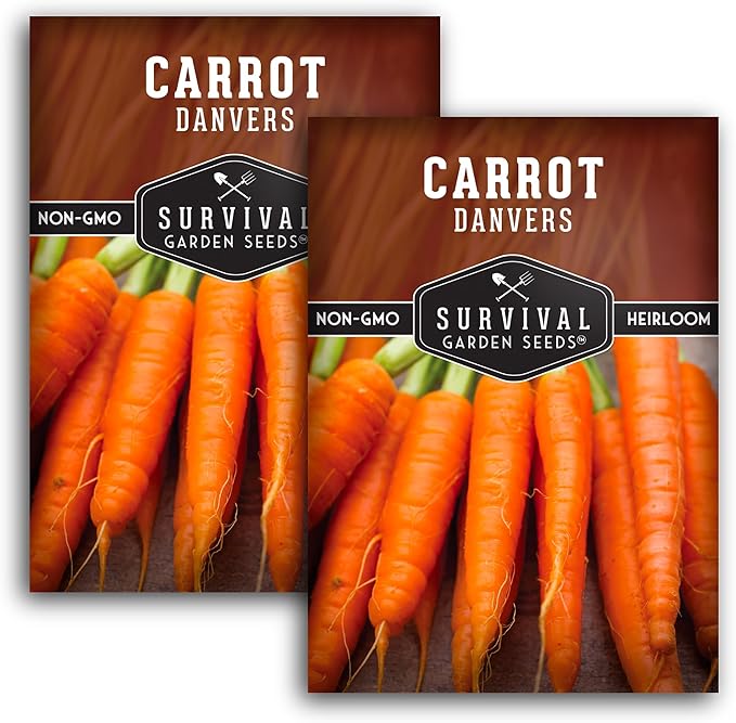 Danvers Carrot Seeds – Danvers 126 Half-Long Carrots for Planting, High-Yield Heirloom Variety – Non-GMO, Open Pollinated Garden Carrot Seeds – Survival Garden Seeds (2 Packs)