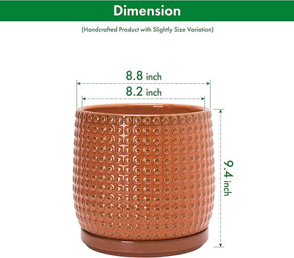 D'vine Dev 8 Inch Ceramic Beaded Stoneware Planter Pot - Flower Pot with Drainage Holes and Saucers for Indoor Succulent Plants or Flowers, Pumpkin, 27-C-Q-J