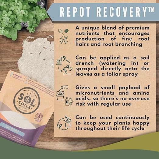 Sol Soils Sol Biotics Repot Recovery - Plant Root Stimulator, Treatment from Stress of Transplant Shock & Growth Support Supplement for Roots - 4oz