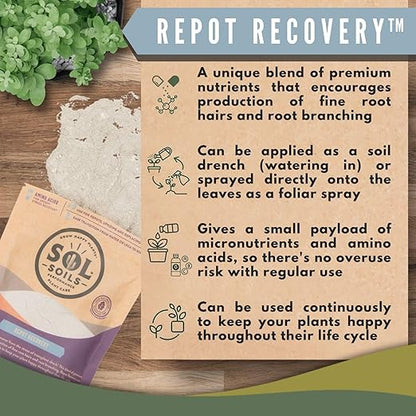 Sol Soils Sol Biotics Repot Recovery - Plant Root Stimulator, Treatment from Stress of Transplant Shock & Growth Support Supplement for Roots - 4oz