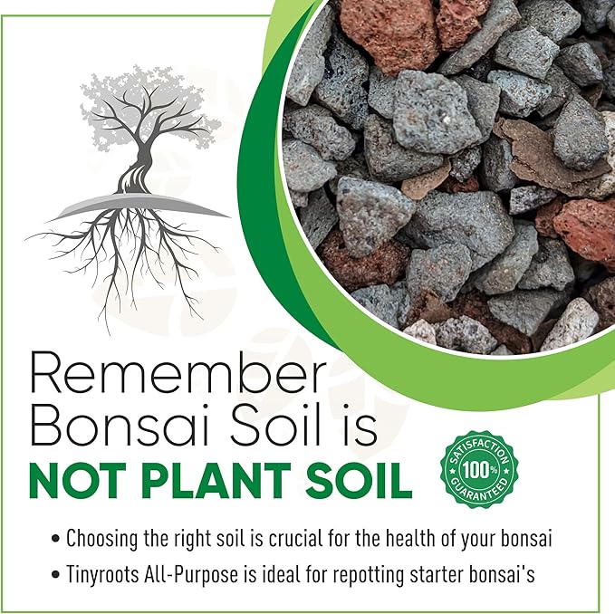 Tinyroots Bonsai Soil Plus a Three Pack of Six-Inch Training Bonsai Pots