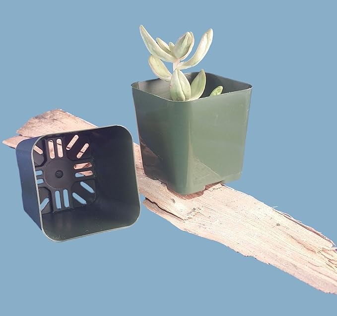 Pack of 2 Inch Plastic Flower Pots for Seedlings, or Succulents (100 Pots, Green)