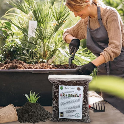 All Purpose Indoor Houseplant Potting Soil Mix Peat Moss & Perlite (½ Gallon / 2 quarts) African Violets, Ivy, Crotons, Peace Lily, Spider Plants etc...from Baby Violets