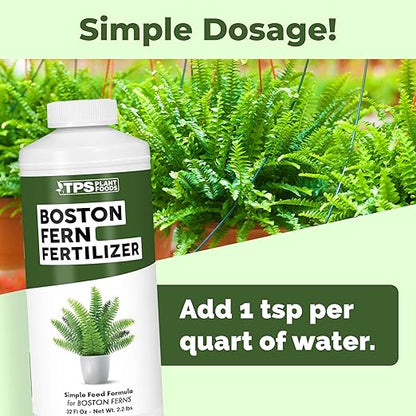 Boston Fern Fertilizer for Boston Fern, Great for Fluffy Ruffles, Dallas, and Compacta Fern Varieties, Liquid Fertilizer by TPS Plant Foods, 32 oz (1 Quart)