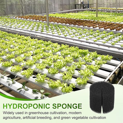 30-Pack Hydroponics Sponges, 1.26 Inch Growing Media Cylindrical Sponges for Planting Gardening Tool/Grow Seedlings/Home Vegetable Flower, Soilless Cultivation Seedling [Black]