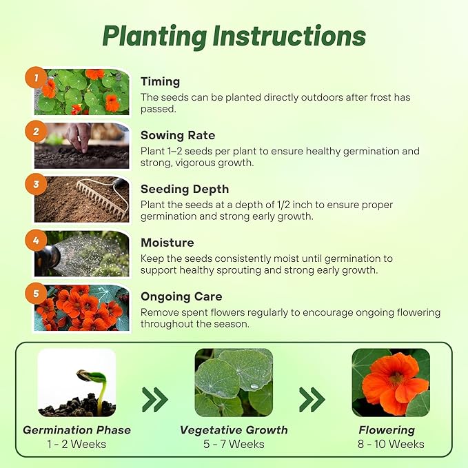 Outsidepride Orange Spitfire Nasturtium Seeds - 200 Pcs Annual, Easy to Grow & Versatile, Flower Seeds for Planting Vibrant Orange-Scarlet Blooms, Ideal for Gardens, Borders, and Pollinator Gardens
