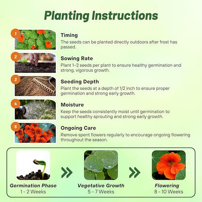 Outsidepride Orange Spitfire Nasturtium Seeds - 200 Pcs Annual, Easy to Grow & Versatile, Flower Seeds for Planting Vibrant Orange-Scarlet Blooms, Ideal for Gardens, Borders, and Pollinator Gardens