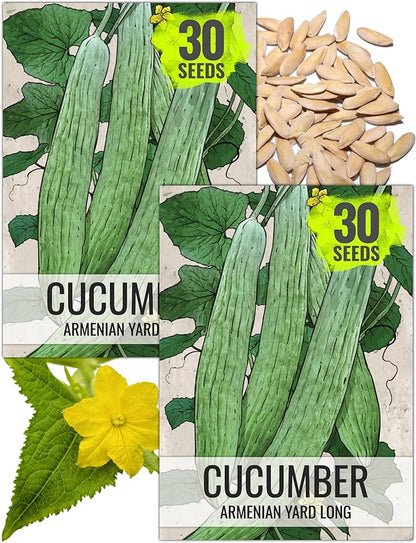 Seed Needs Cucumber Seeds for Planting Armenian Yard Long Cucumbers - Heirloom Non-GMO & Untreated - Snake Melon/Serpent Cucumber to Plant a Home Grown Outdoor Vegetable Garden (2 Packs)