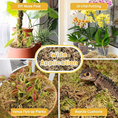 Legigo 3.3LBS Premium Sphagnum Moss for Plants- 60QT Natural Succulent Carnivorous Plant Moss Dried, Long Fiber Orchid Moss for Orchid Repotting Succulent Sarracenia Potted Plants Gardening & Reptiles