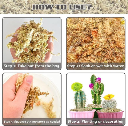 ZeeDix 8 oz Sphagnum Moss for Indoor Plants, Natural Orchid Potting Mix for Repotting, Dried Long Fiber Sphagnum Peat Moss for Carnivorous Plants Succulents Reptile Habitats (Expands to 12 qt)