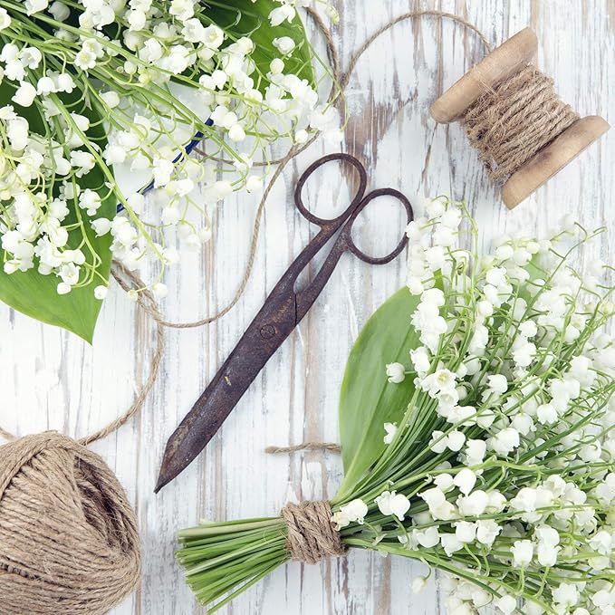 The cordeline Roll Jute Roll 1kg 5 x Natural Jute Rope Diameter 2 mm, ± 800 M, 13, 15, 5 cm
