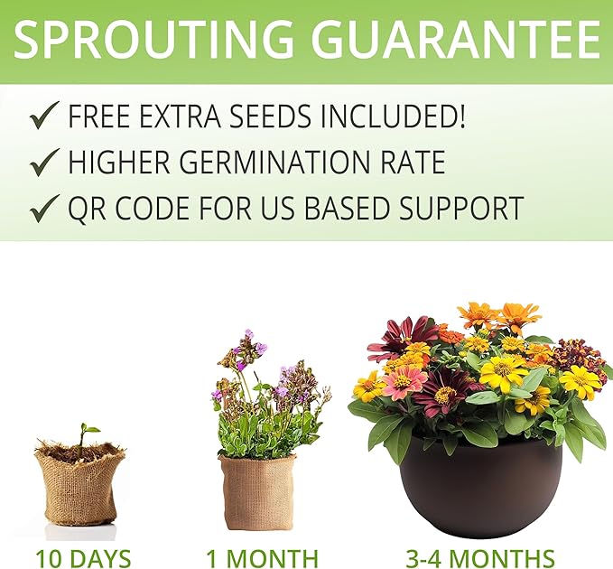 AVERGO Sunflower, Marigold & Zinnia Flower Seeds Growing Kit – Complete Indoor & Outdoor Kit with Seeds for Planting, Planters, Soil, Tools, Instructions – Ideal for Gift Giving