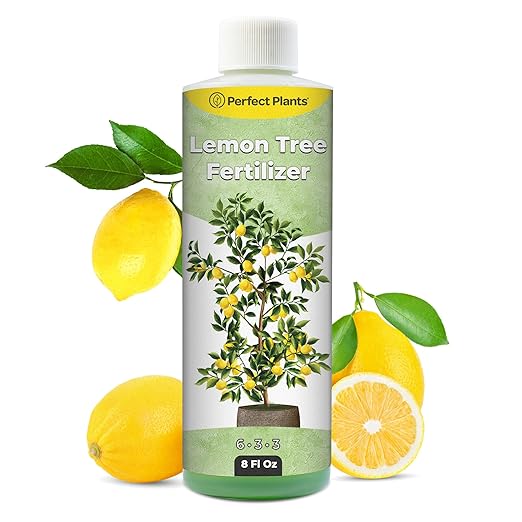 Liquid Lemon Tree Fertilizer by Perfect Plants | Citrus Plant Food for Fast Growth and Happy Live Lemon Trees | 6-3-3 Formula Rich in Nitrogen and Other micronutrients (8oz)