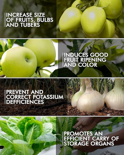 Nutri K Potassium Fertilizer for Plants - Enhances Flow & Uptake for Potting Soil Indoor Plants - Corrects Deficiencies & Prevents Blotchy Ripening in Fruits & Vegetables - 2.5 Gallons