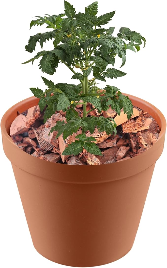 Brown Rubber Mulch for Landscaping - Durable and Eco-Friendly Garden Mulch - Perfect for Garden, Potted Plants & Outdoor Decor 1 Quart