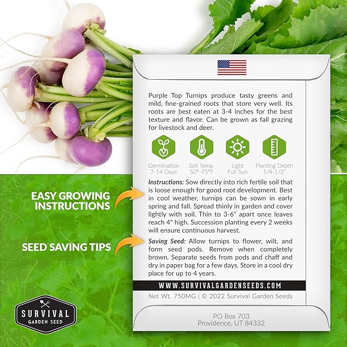 Turnip Seeds for Planting | Purple Top Heirloom Non-GMO Variety | Root Vegetable for Fall & Spring Home Gardens - Survival Garden Seeds (1 Pack)