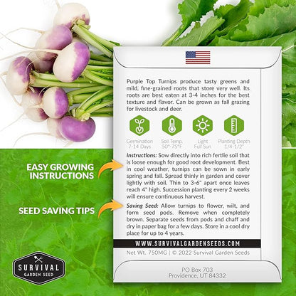 Turnip Seeds for Planting | Purple Top Heirloom Non-GMO Variety | Root Vegetable for Fall & Spring Home Gardens - Survival Garden Seeds (1 Pack)