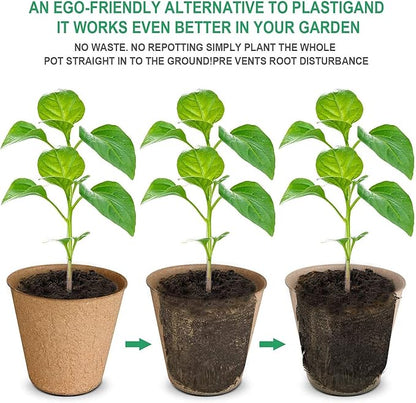 Biodegradable Peat Pots Set (60 Pots)