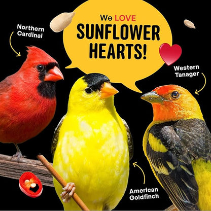 Hearts on Fire Hot Bird Seed – 10 lb. 100% Hulled Sunflower Hearts with Chili Pepper Oil – No Waste Bird Seed for Outside Feeders