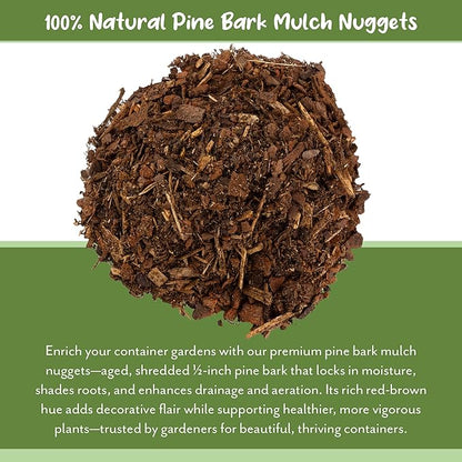Soil Sunrise 100% Natural Pine Bark Mulch Nuggets (12 Quarts) Small Chips for Indoor/Outdoor Container Gardening, Ideal for Soil Supplement, Houseplant Topper, and Terrariums