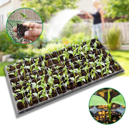 10-Pack Seed Starter Kit,72 Cell Seedling Tray Cell Seed Trays for Flat Trays Germination,Plastic Tray Nursery Pots Mini Propagator Plant Grow Kit Plug Tray Starting Trays for Seedling Germination
