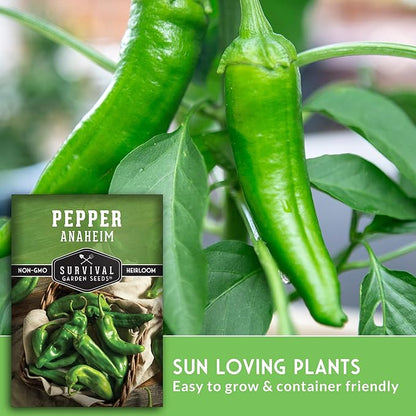 Anaheim Chili Pepper Seeds for Planting – Mild Green New Mexico Variety for Roasting and Cooking – Heirloom Non-GMO Open-Pollinated – Survival Garden Seeds (1 Pack)