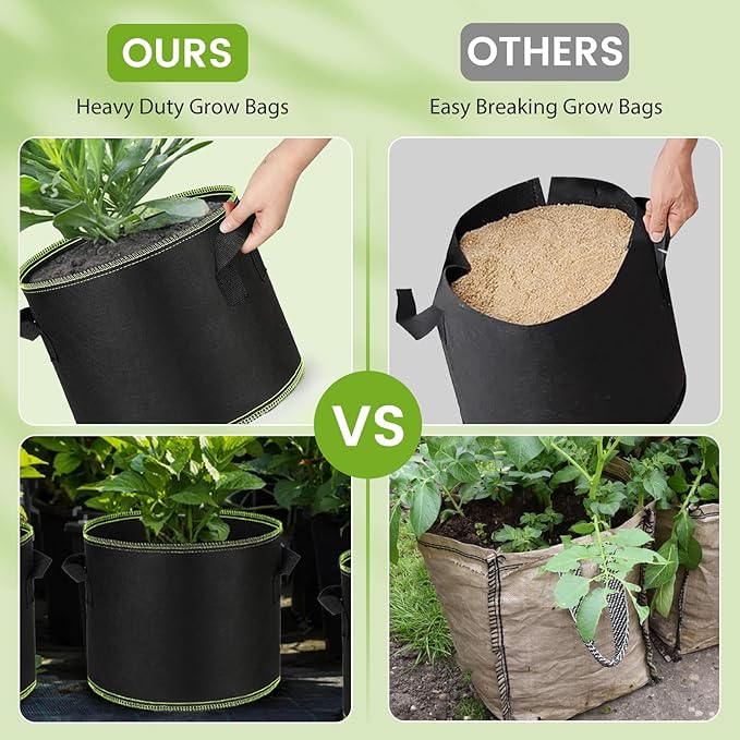 Grow Bags 10Pcs Heavy Duty 300G Fabric Pots for Plants,Thickened Nonwoven Garden Bags to Grow Vegetables,Large Nursery Pots,Tomato Grow Bags with Handles, Green Line Border (10 Gallons)
