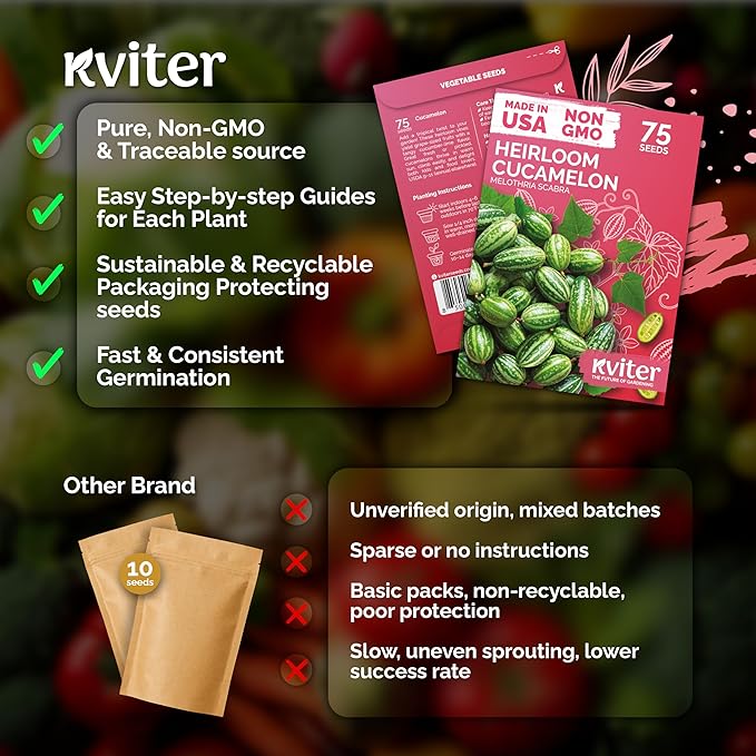KVITER 75 Cucamelon Seeds for Planting (Melothria Scabra) – Mexican Sour Gherkin Seeds, Gherkin Cucumber, Mexican Mini Watermelon – Heirloom Vegetable Seed for Outdoor & Indoor Garden, Containers