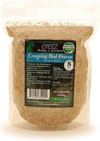 Creeping Red Fine Fescue Seed by Eretz (8oz) - Choose Size! Willamette Valley Oregon Grown, No Fillers, No Weed or Other Crop Seeds, Premium Shade Grass Seed.