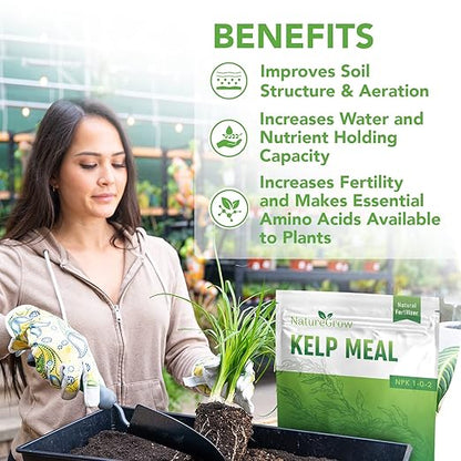 Kelp Meal 1-0-2 Natural Plant Food, Boost Plant Health and Yield! (24lb)