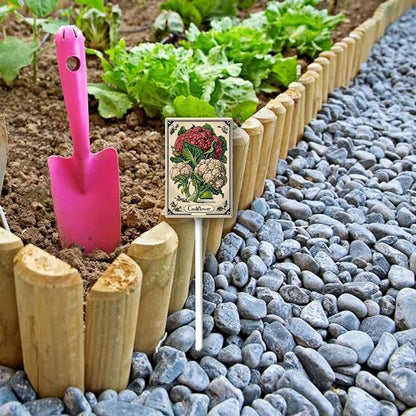 Uptell Vegetable Garden Cauliflower Yard Sign Label With Stake Plant Markers For Outdoor Plants Waterproof 8x12inch Nursery Garden Outdoor Sign