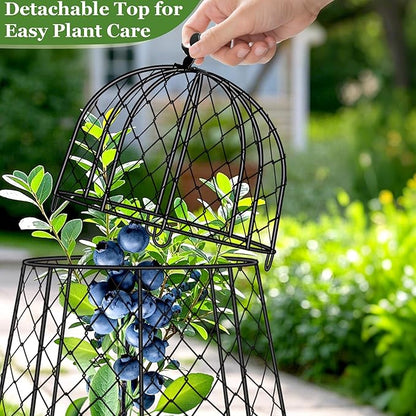 Garden Cloches for Plants, Plant Protectors from Animals, Rustproof Chicken Wire Cloches, 13" D x 20" H Large Plant Cloche and Cover, Keep Small Animals Out, 6- Pack
