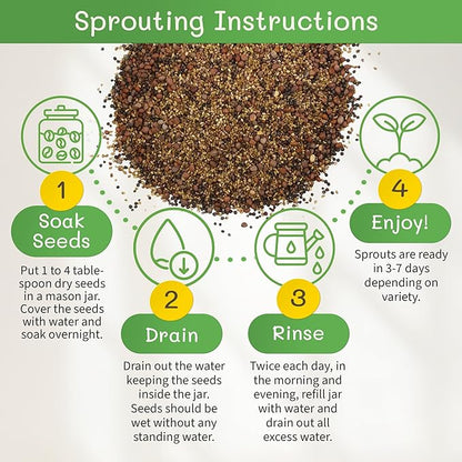 The Sprout House Assorted Mix Sprouting Seeds - Grow Fresh Sprouts & Bean Sprouts at Home, Organic, Non-GMO, Nutrient-Packed for Salads, Sandwich & Smoothies, Premium 12 Pack | 2 oz Each