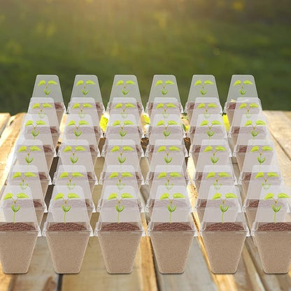 winemana Seed Starter Peat Pots,Biodegradable with Humidity Dome and Labels For Plant Nursery, Seedlings Planting For Indoor Outdoor Garden (Square)36 Set