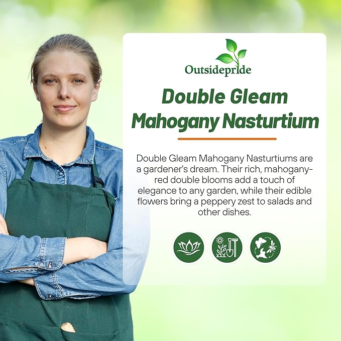 Outsidepride Double Gleam Mahogany Nasturtium Seeds - 400 Pcs Annual, Easy to Grow & Versatile, Flower Seeds for Planting Vibrant Blooms, Ideal for Gardens, Borders, and Pollinator Gardens