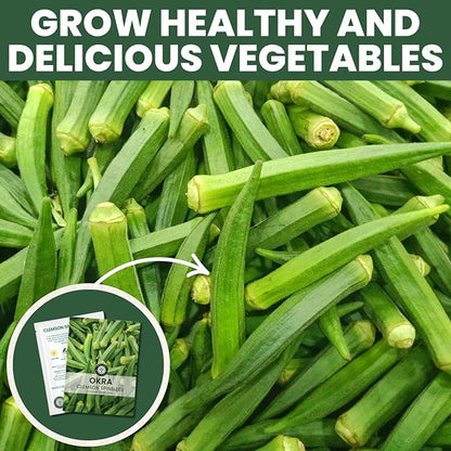Okra Clemson Spineless – 225 Premium Seeds for Planting – High-Yield, Tender Heirloom Pods for The 2026 Season – 15 Gram Pouch