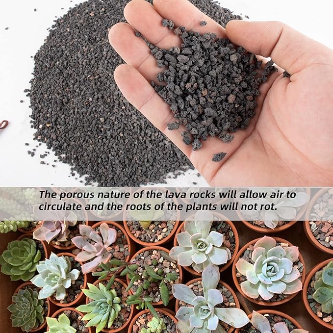 7lb Black Lava Rock for Plant, 1/8-1/4 inch Horticultural Volcanic Rock Soil for Decorative Landscaping Bonsai, Cacti, Succulents Plants Top Dressing for Release Excess Water