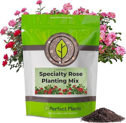 Specialty Rose Planting Mix by Perfect Plants | Premium Nutrients for Flowering Roses Such as Drift, Knockout, and Heirloom (4qt)