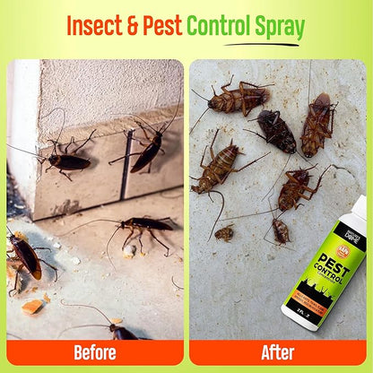 Nature’s Dome Natural Pest Control 2pk – Save & Make 32oz – Plant-Based Bug Killer for Ants, Roaches, Spiders & 40+ Insects – Pet & Child Safe Indoor/Outdoor Essential Oil Spray – Non-Staining