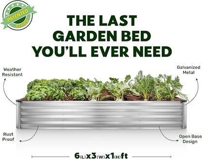 Plant & Plot Galvanized Raised Garden Beds Outdoor // 6×3×1 ft Planter Raised Beds for Gardening, Vegetables, Flowers // Large Metal Garden Box (Silver) // Patented Tool-Free Design