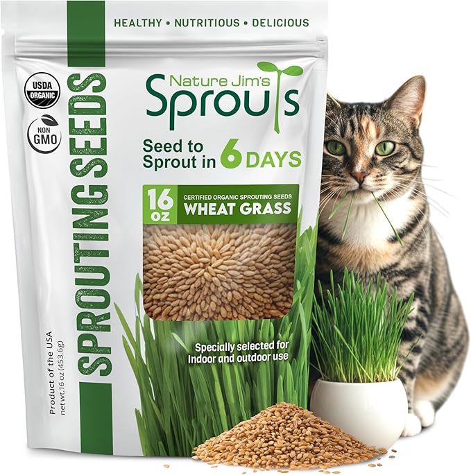 Nature Jims Sprouts Wheat Grass Seeds – Non-GMO Organic Seeds for Planting, Cat Grass Kit Planter & Sprouting –Resealable Bag for Fresh Wheatgrass Sprouts – Packed with Vitamins, Fiber & Minerals–16oz
